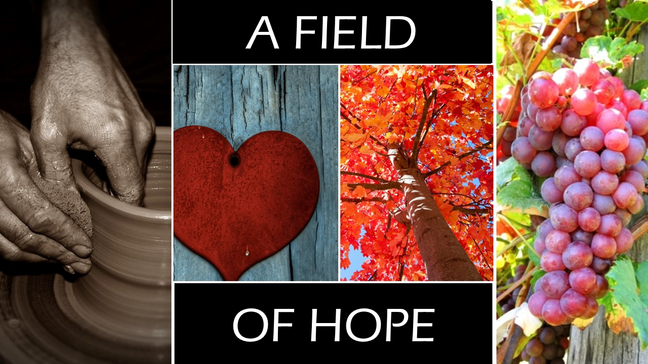 A Field of Hope Image